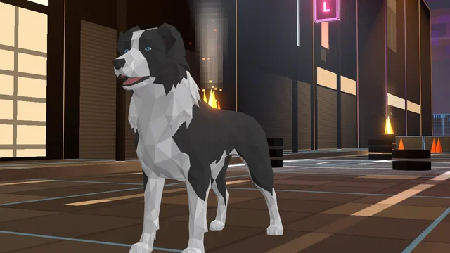 A Common Dog: a black and white dog standing in Camp 7 at night.